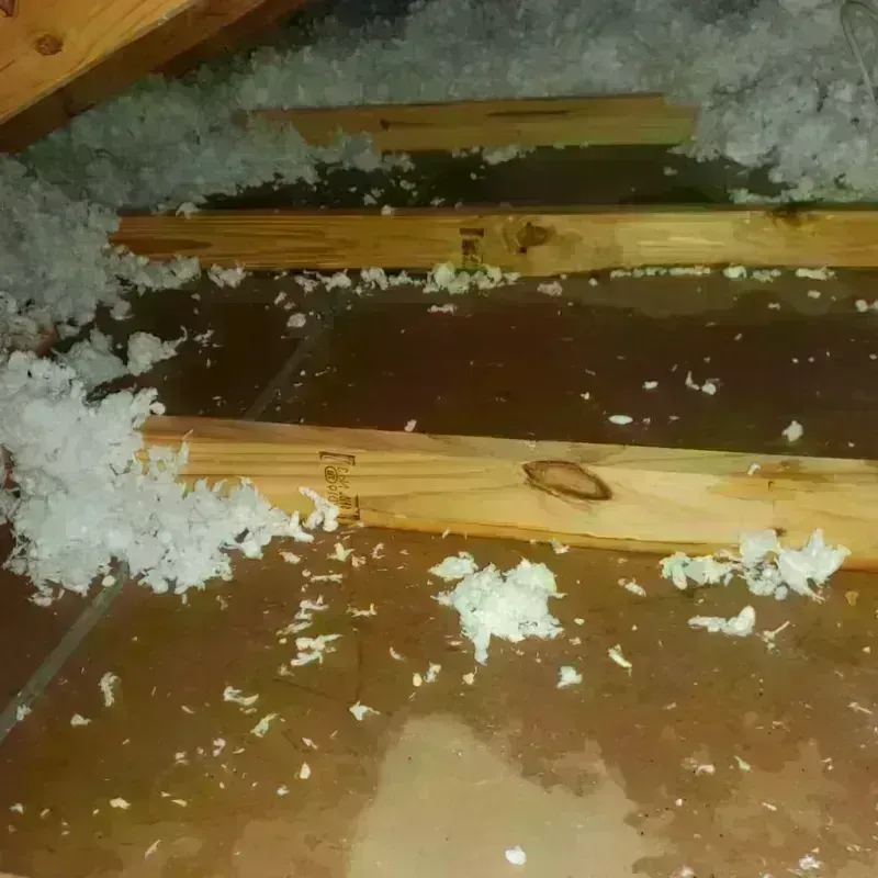 Attic Water Damage in Stevenson, AL